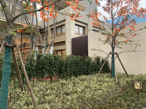 金融街壹號(hào)最新價(jià)，獲取與理解指南全解析